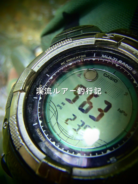 P6260005 (2).jpg