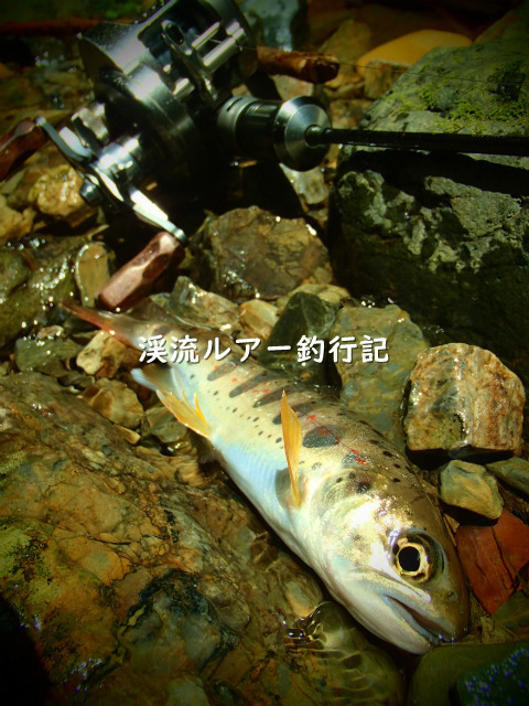 P6260020 (2).jpg