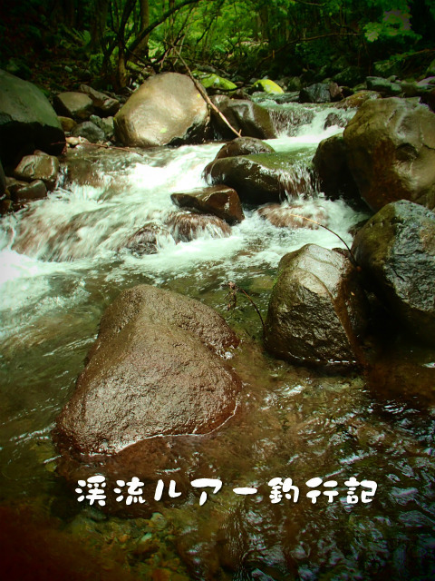P6290021.jpg