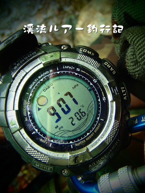 P6290041.jpg