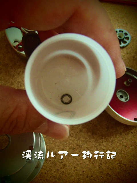 P7050003.jpg