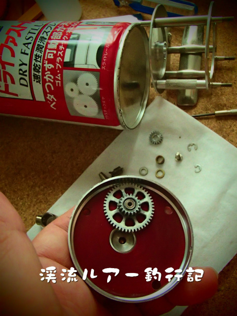 P7050005.jpg