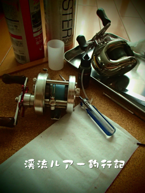 P7050009.jpg