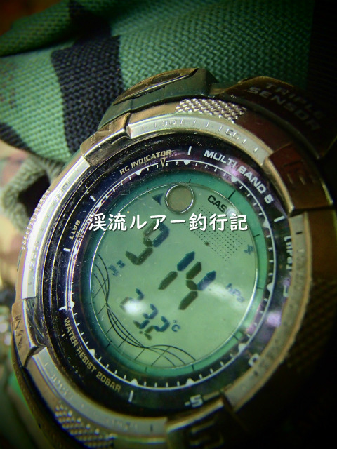 P7060009 (2).jpg
