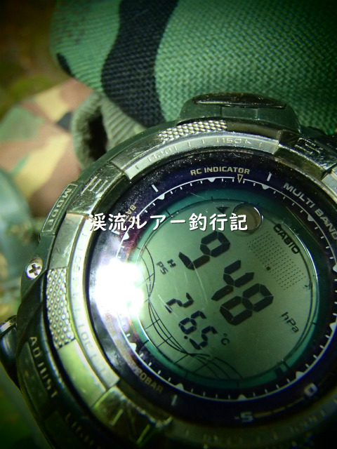 P7090005 (2).jpg
