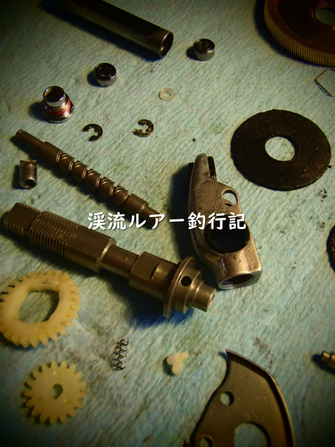 P7090007 (2).jpg