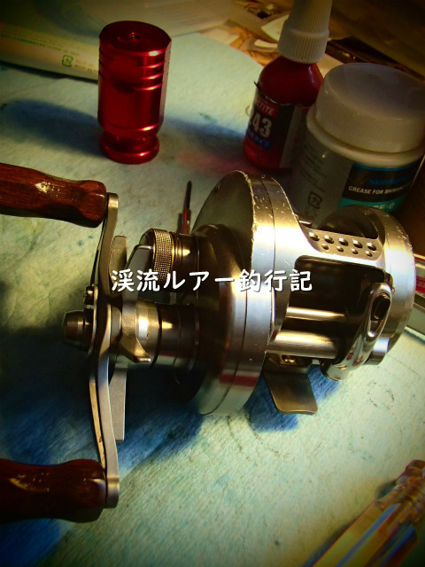 P7090010 (2).jpg