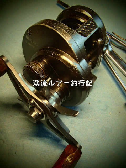 P7150007 (2).jpg