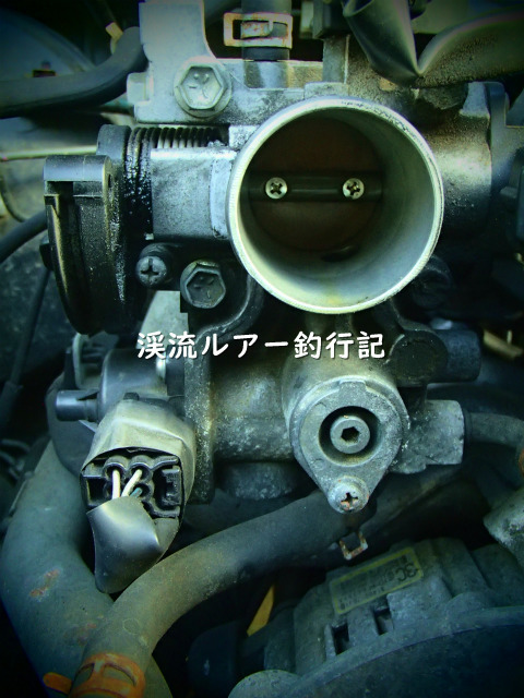 P7160002 (2).jpg