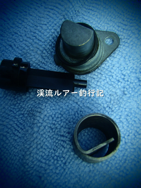 P7160009 (2).jpg