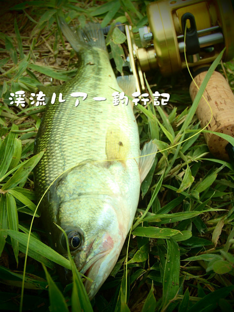 P7230053.jpg