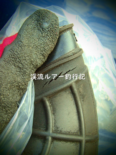 P7250005 (2).jpg