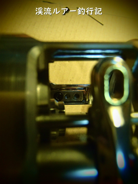 P7270049 (2).jpg