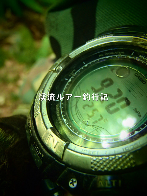 P7280012 (2).jpg