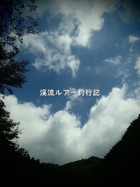 P7300006 (2).jpg