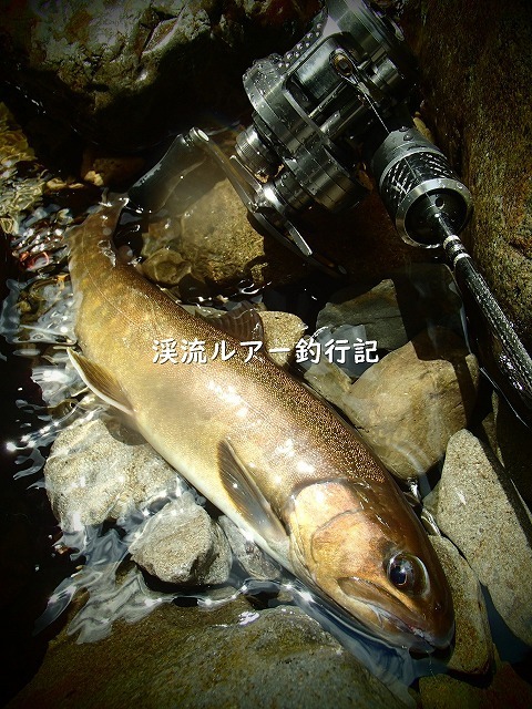 P7300024 (2).jpg