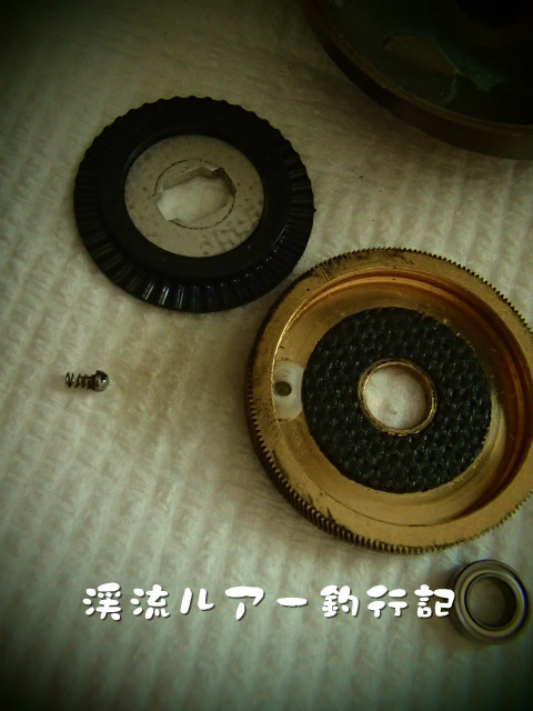 P7300029.jpg
