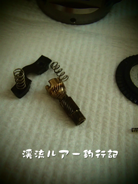 P7300031.jpg