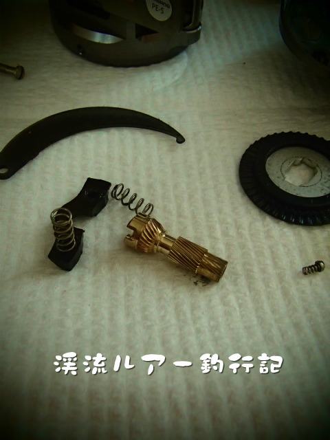 P7300032.jpg