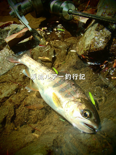 P7310002_01 (2).jpg