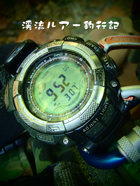 P8040006.jpg