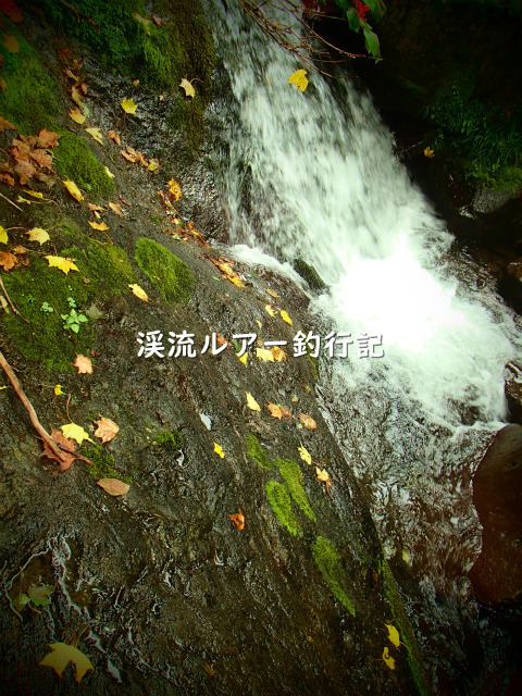 P8080005 (2).jpg