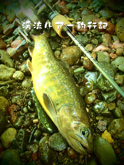 P8080010.jpg