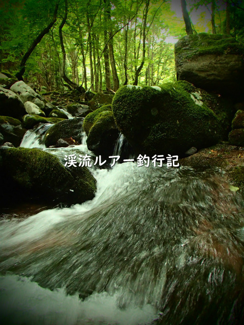 P8110004 (2).jpg