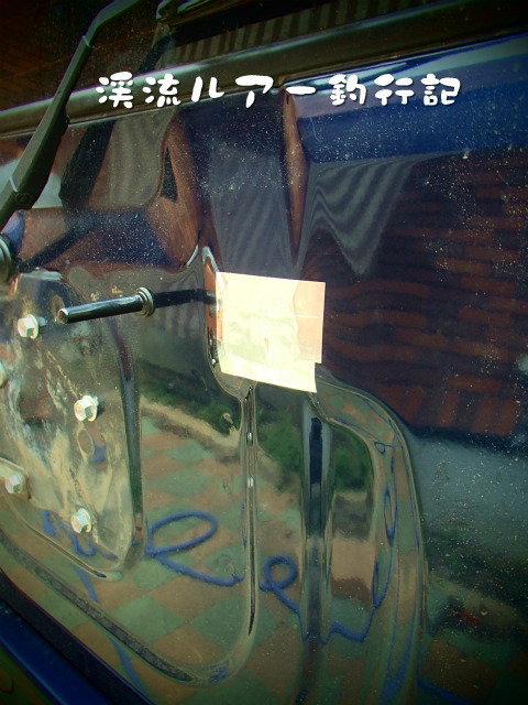P8120024.jpg