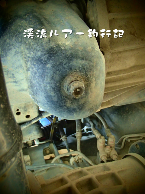 P8120029.jpg