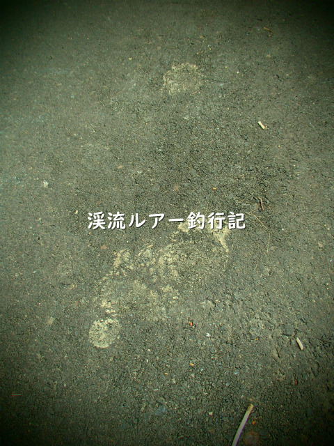 P8120039 (2).jpg
