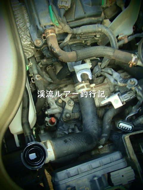 P8130001 (2).jpg