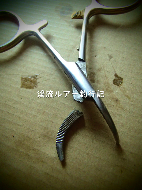 P8130002 (2).jpg