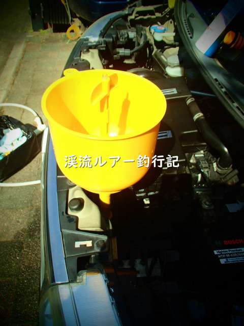 P8130004 (2).jpg