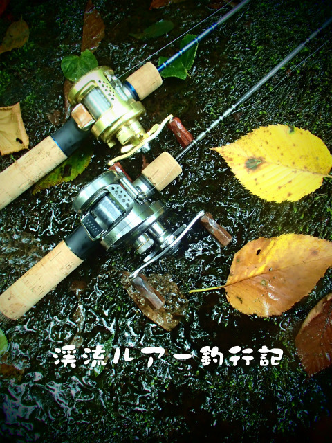P8130013.jpg