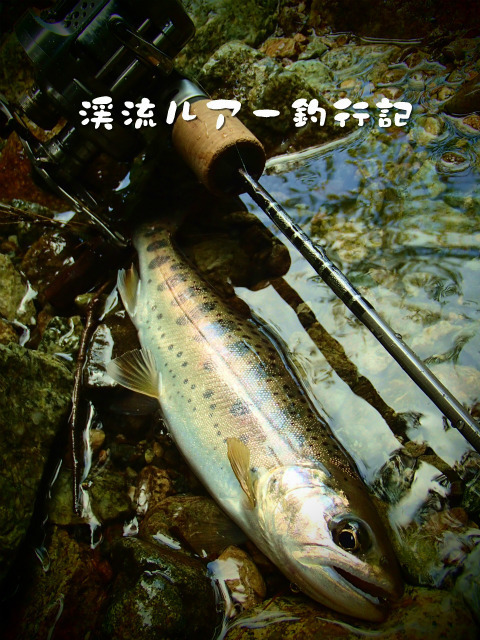 P8180002.jpg