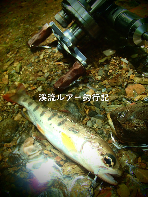 P8180013 (2).jpg