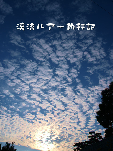 P8187988.jpg