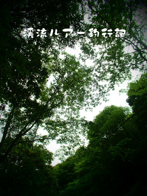 P8210005.jpg