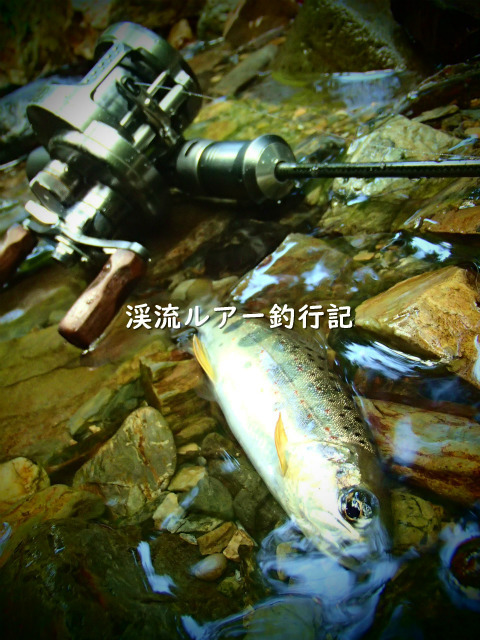 P8250002 (2).jpg
