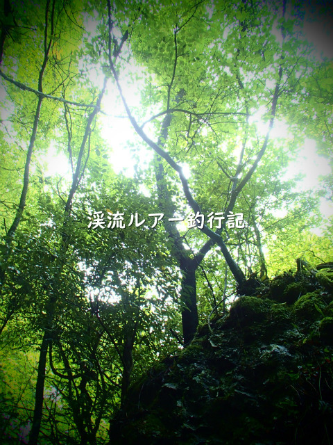 P8250003 (2).jpg
