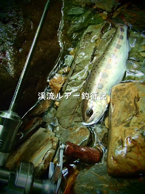 P8250009 (2).jpg