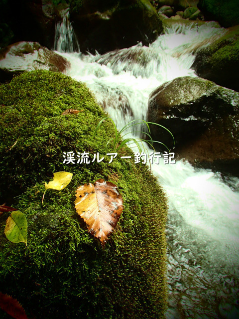 P8280011 (2).jpg