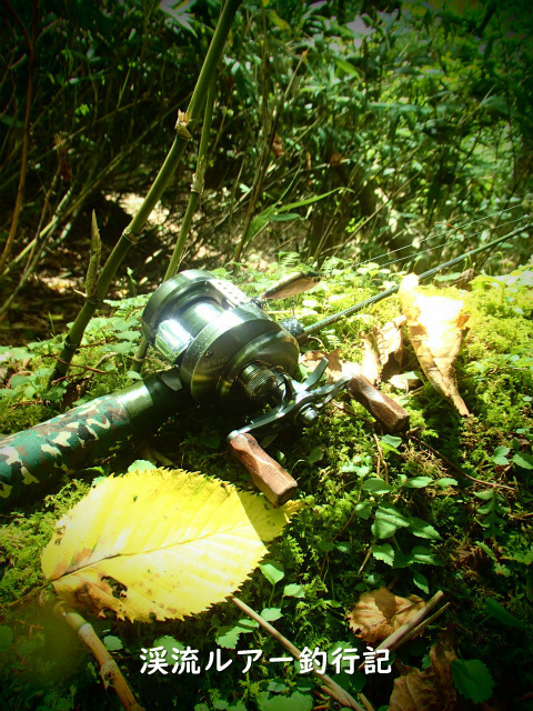 P8290050 (2).jpg