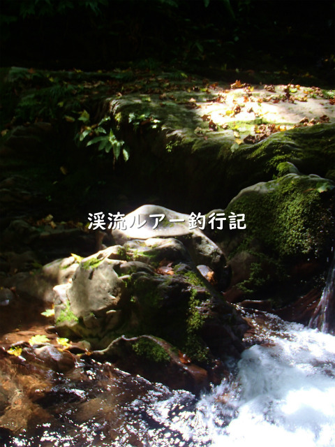 P8290054 (2).jpg
