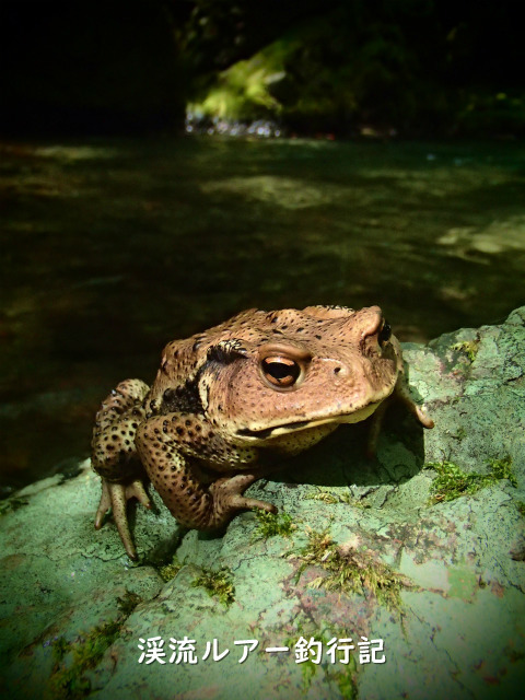 P8300018 (2).jpg
