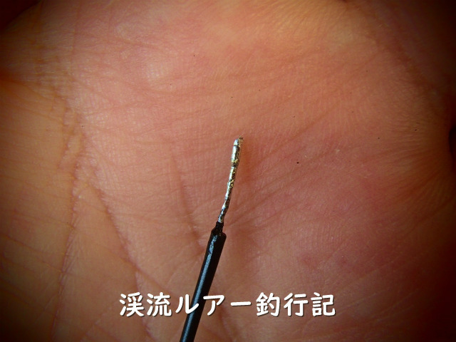 P9030009 (2).jpg