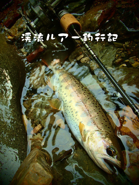 P9040033.jpg