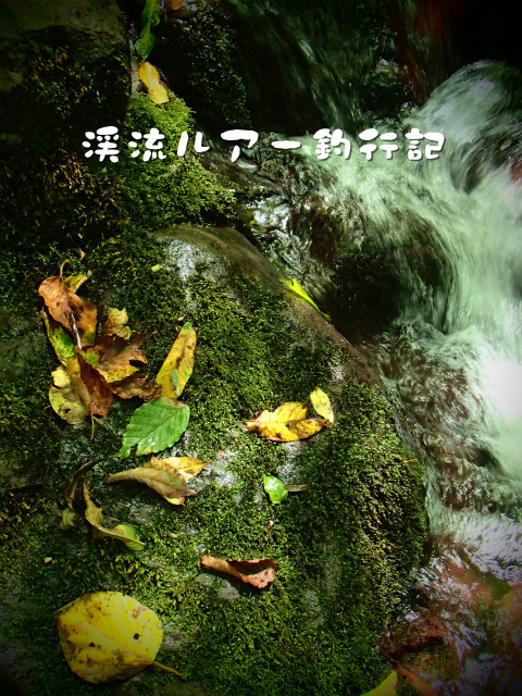 P9080042.jpg