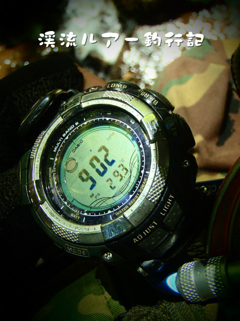 P9080050.jpg